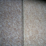DSCN2880