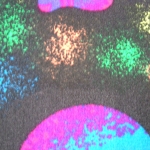 DSCN3497