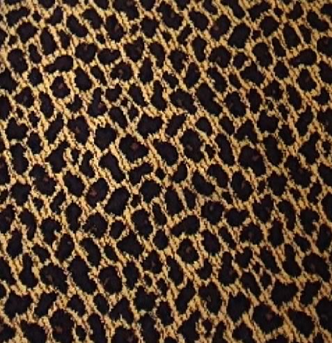 RC AW LEOPARD