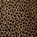 RC AW LEOPARD
