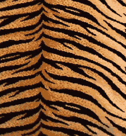 AW TIGER 1