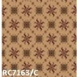 RC7163 C
