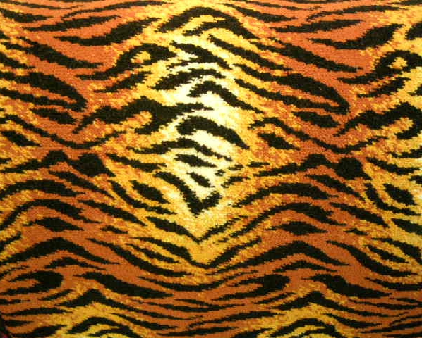RC D0150 TIGER SKIN