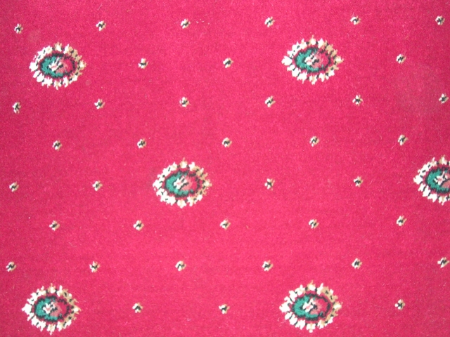 DSCN2764