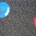 DSCN2781
