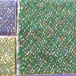 DSCN2841