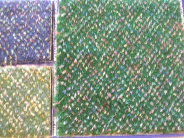 DSCN2841